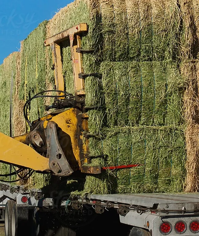 Wells Cargo agriculture freight team